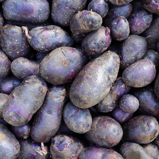 PATATA VIOLA